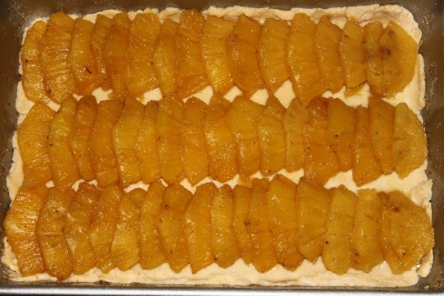 pineapple tart (11)