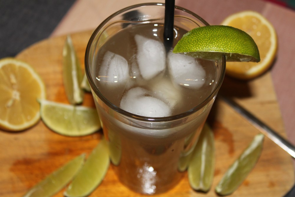 Homemade Ginger Ale (3)