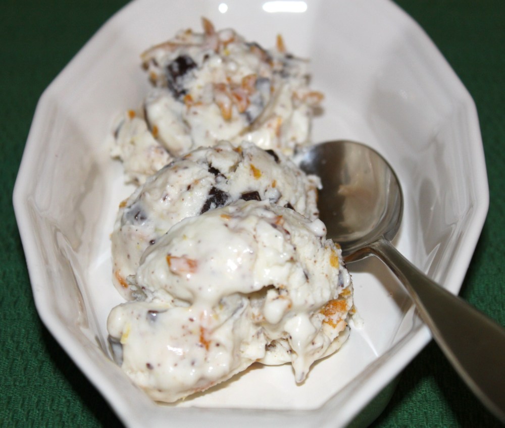 Ricotta Ice Cream with Dark Chocolate and Candied Orange (3)