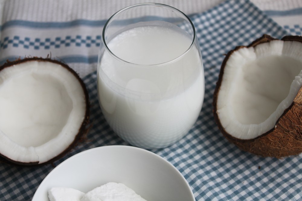 coconut milk (2)