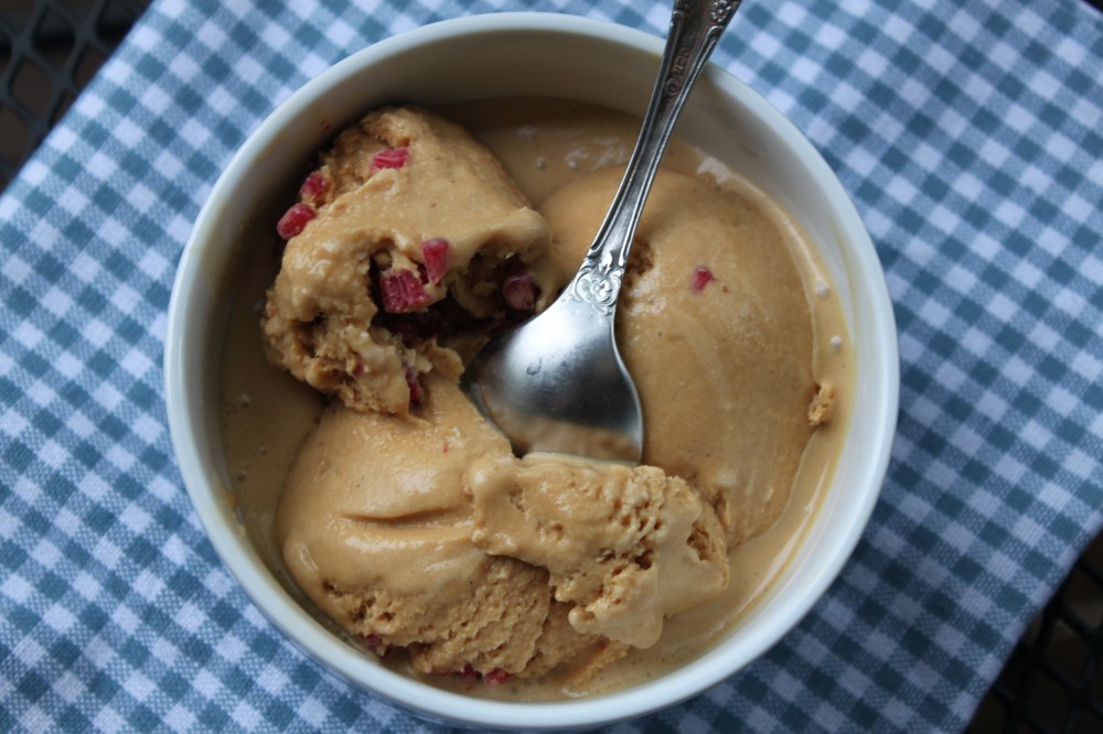 Salted Caramel and Raspberry Ice Cream